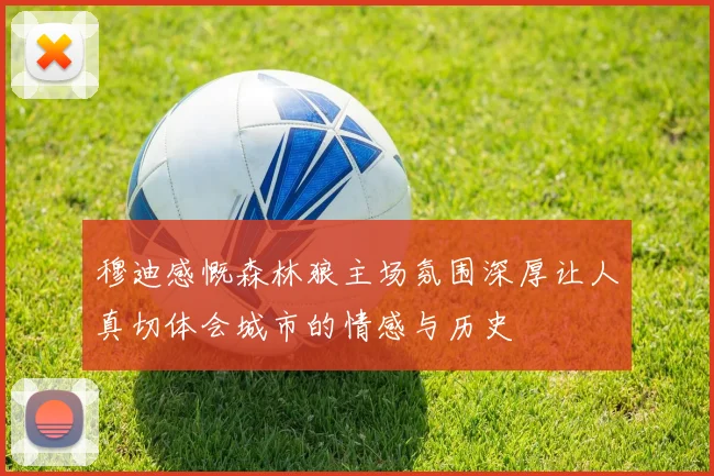 穆迪感慨森林狼主场氛围深厚让人真切体会城市的情感与历史