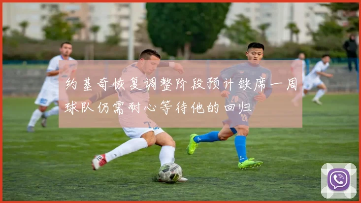 约基奇恢复调整阶段预计缺席一周球队仍需耐心等待他的回归